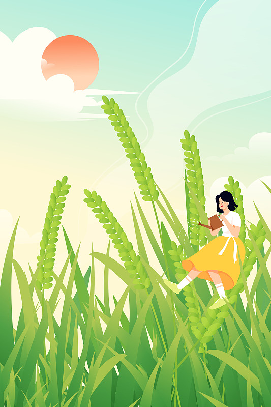 小满水稻农业小麦青色植物生长二十四节气中国风矢量插画下载