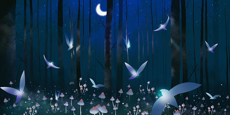 夜晚的神秘森林图片素材