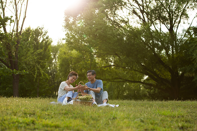 老年夫妻侣户外公园野餐图片素材