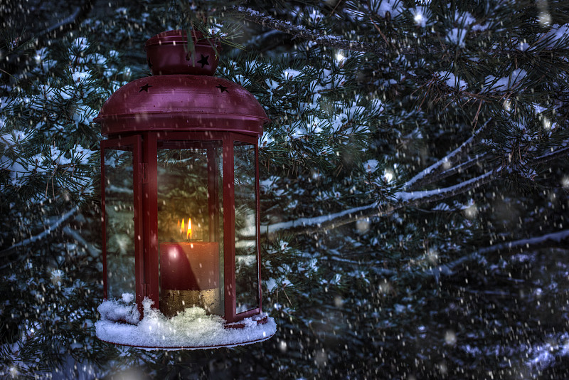 在冬天挂在树上的灯笼的特写图片素材