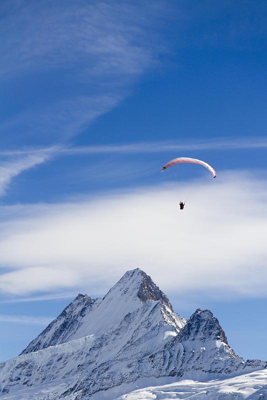 Schreckhorn山和滑翔伞，格林德沃，伯恩斯高地地区，伯尔尼，瑞士，欧洲图片下载