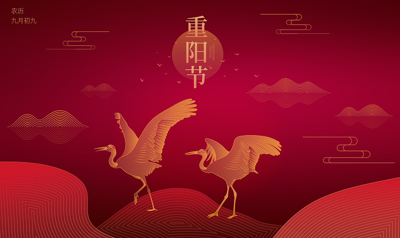 吉祥长寿的仙鹤登高望远庆祝重阳节矢量插画横版图片