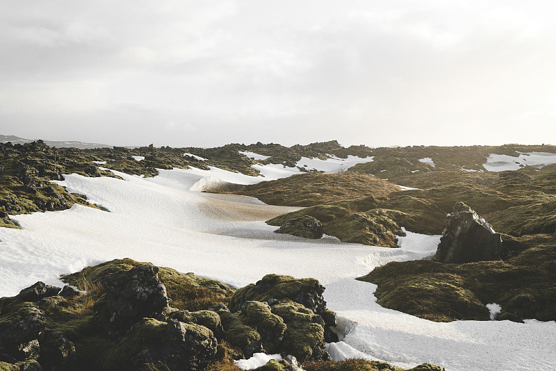 冰岛抹茶苔原图片素材
