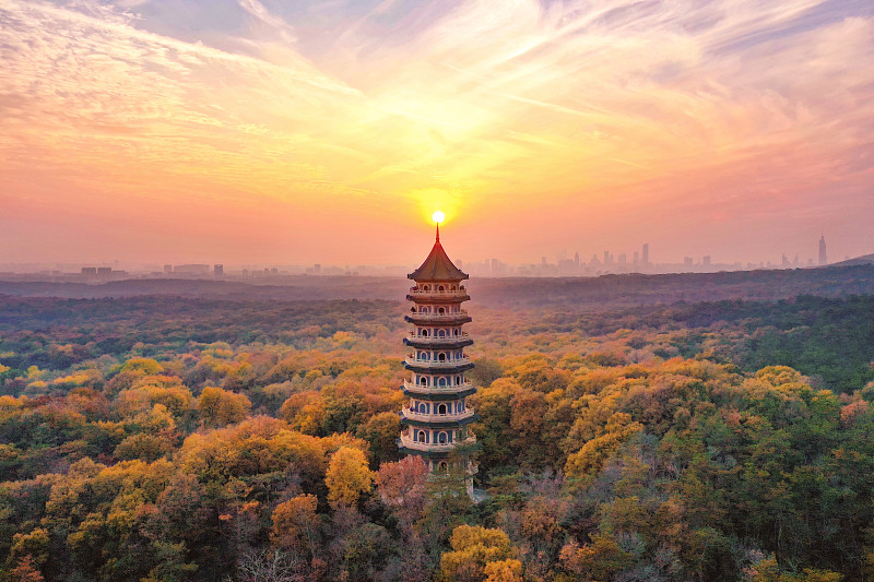 南京灵谷寺的秋天图片下载