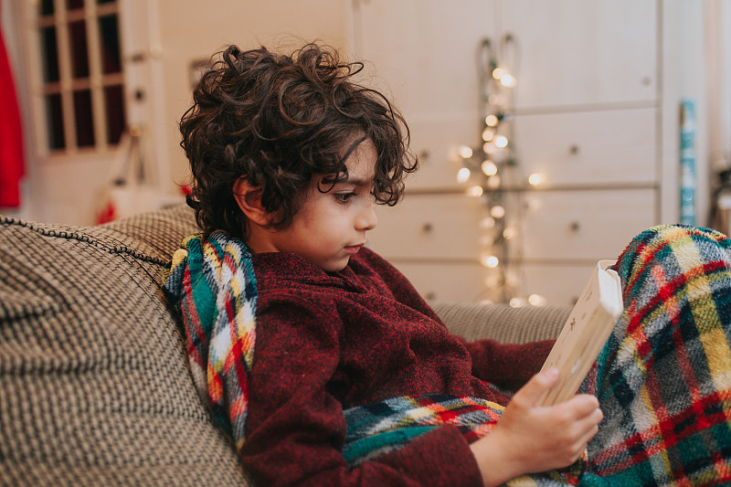 加拿大不列颠哥伦比亚省维多利亚，一个男孩坐在家里的沙发上看书图片素材