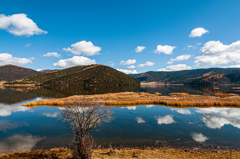 云南香格里拉普达措国家公园属都湖蓝天白云下的秋色图片下载