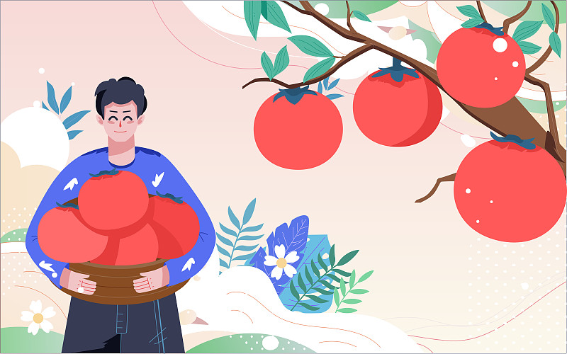 秋天人物收获柿子海报秋季果园农场果实插画图片