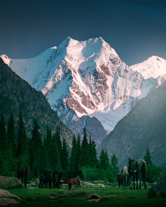 吉尔吉斯斯坦，白雪皑皑的山峰图片下载