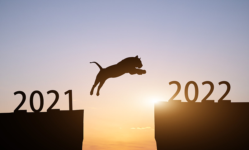 2021年到2022年十二生肖老虎奔跑跨年剪影图片下载