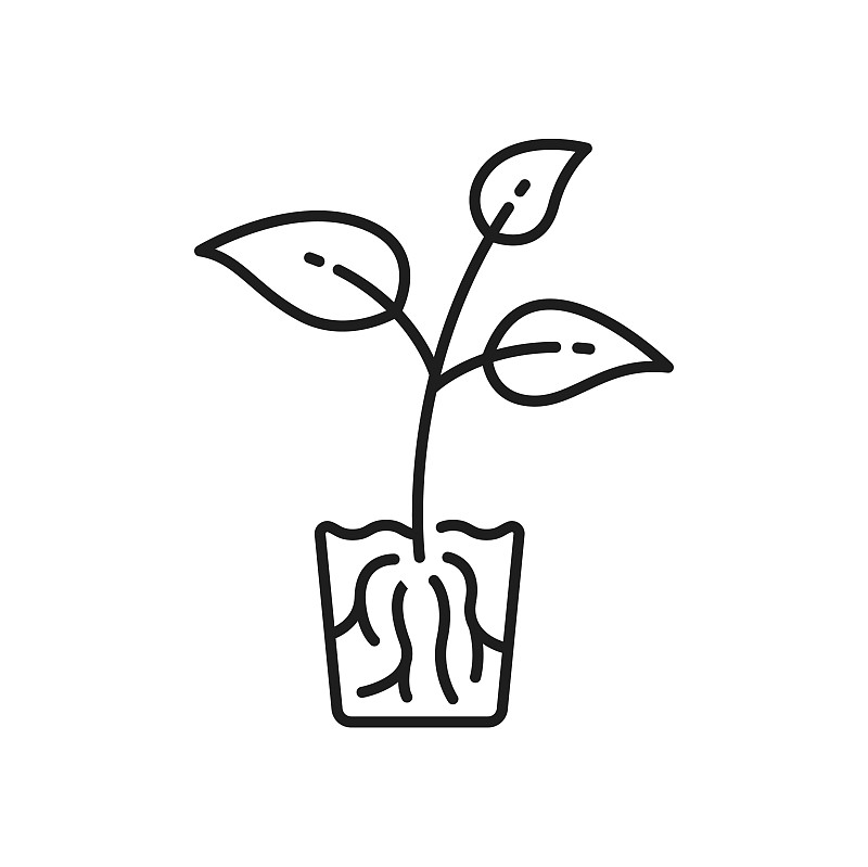 根茎植物简笔画图片