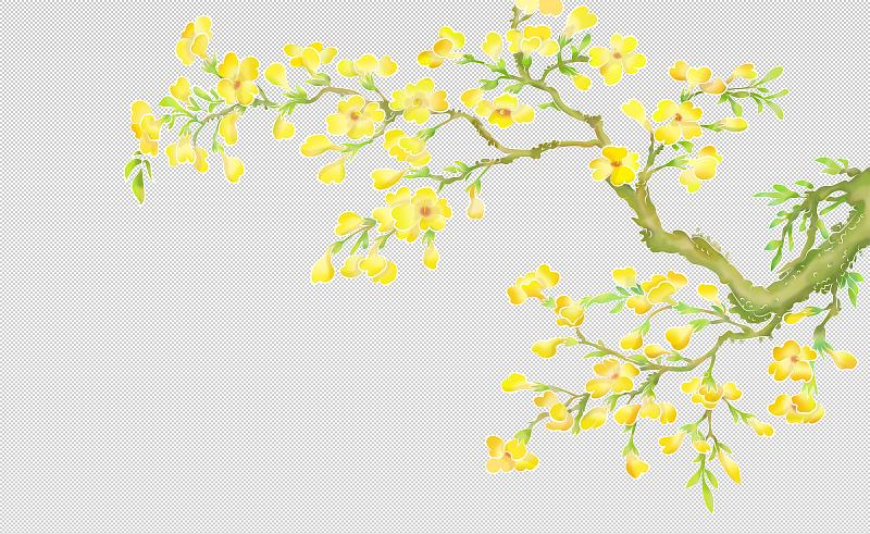 迎春花 立春 春天 黄色花朵 花枝 花朵素材古典风格 工笔风图片下载