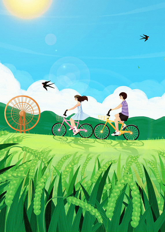 传统节气小满夏天户外稻田骑单车插画海报下载