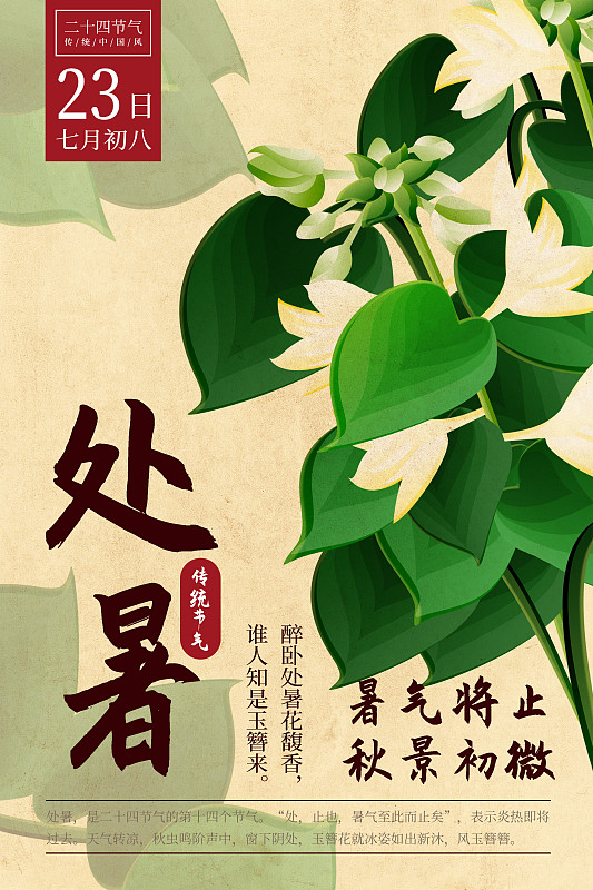 二十四节气新中式植物海报-14处暑-玉簪花图片下载