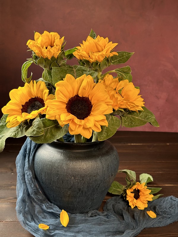 桌上花瓶里的向日葵图片下载
