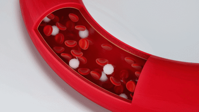 血管内流动的红细胞与白细胞3D渲染图片下载