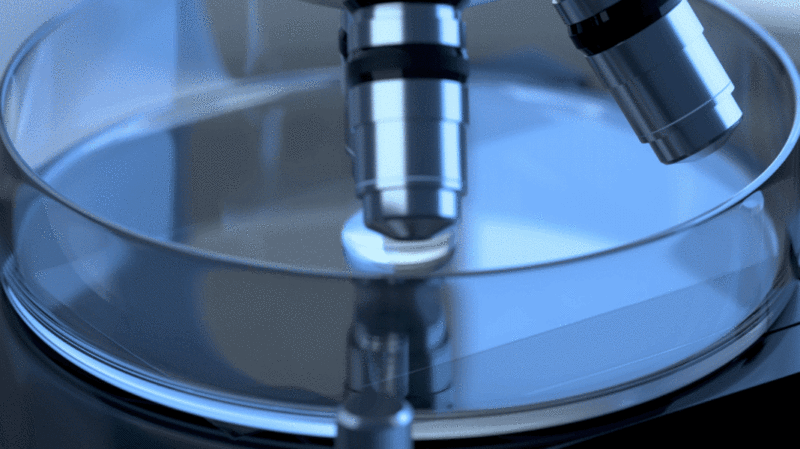 显微镜与培养皿3D渲染插画下载