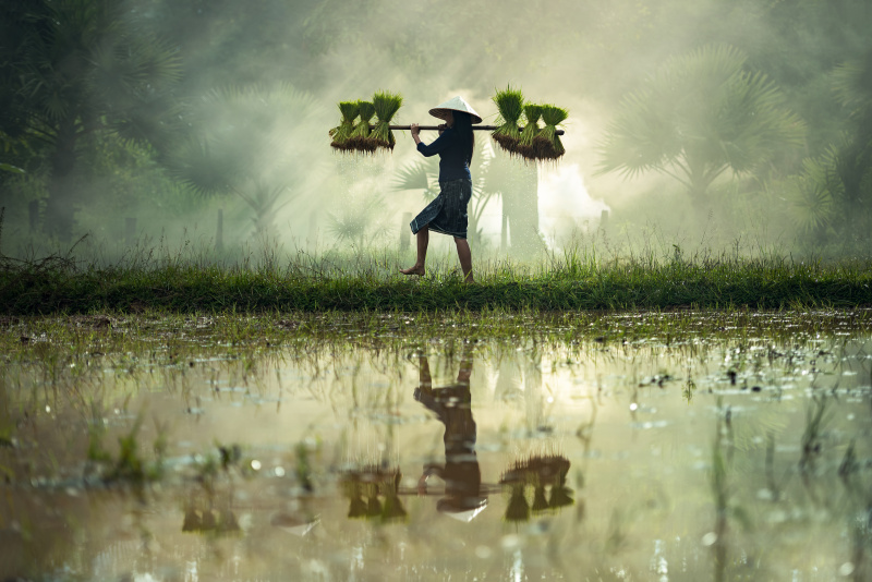 女性农民图片素材
