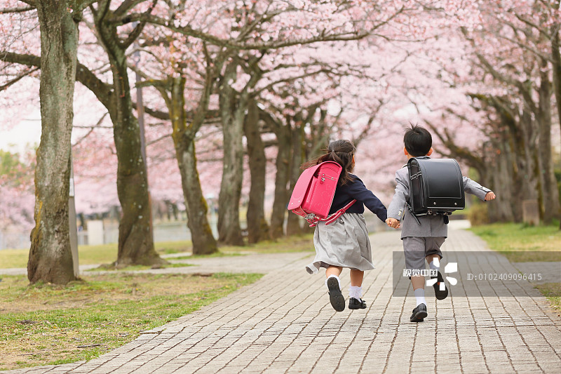 日本孩子在城市公园里开着樱花图片下载