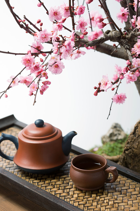 茶壶梅花图片素材