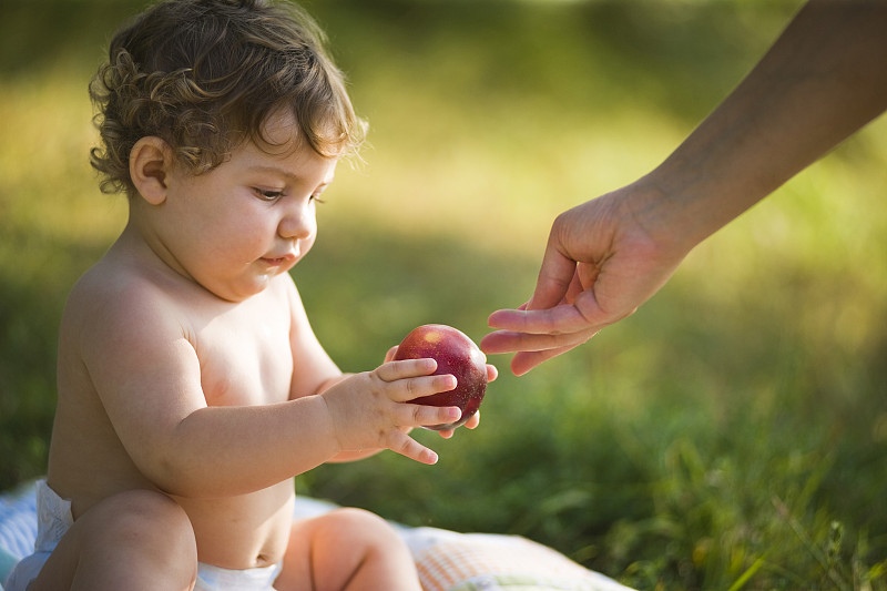 一个小孩在看一个成熟的桃子图片下载