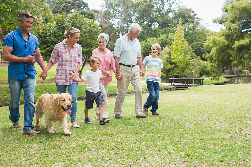 在一个阳光明媚的日子里，快乐的家庭和他们的狗在公园里图片下载
