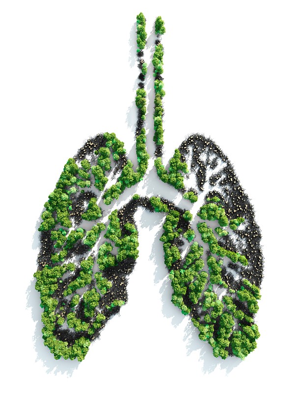 地球之肺图片下载