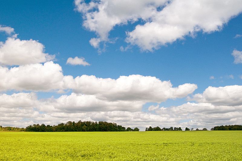 农业，完美的土地，天空图片下载