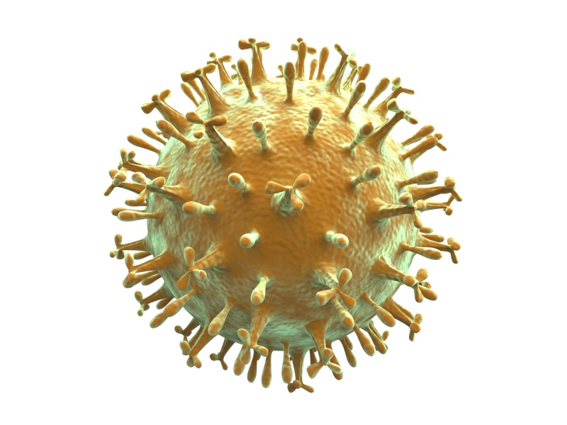 这是一幅普通病毒颗粒的电脑绘图，描绘了各种病毒类型，如冠状病毒、禽流感、艾滋病、流感、猪流感和疱疹。图片下载