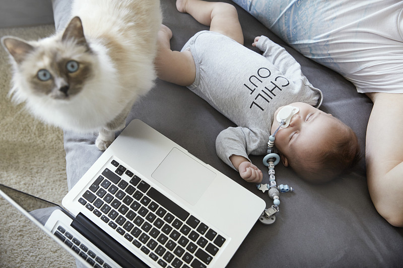 年轻的父亲和婴儿睡在沙发上，猫和笔记本电脑图片下载