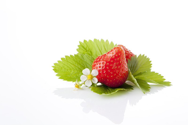 草莓，草莓，花和叶子图片下载
