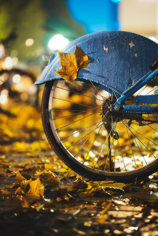 秋雨之夜，落叶粘在公共自行车上图片素材