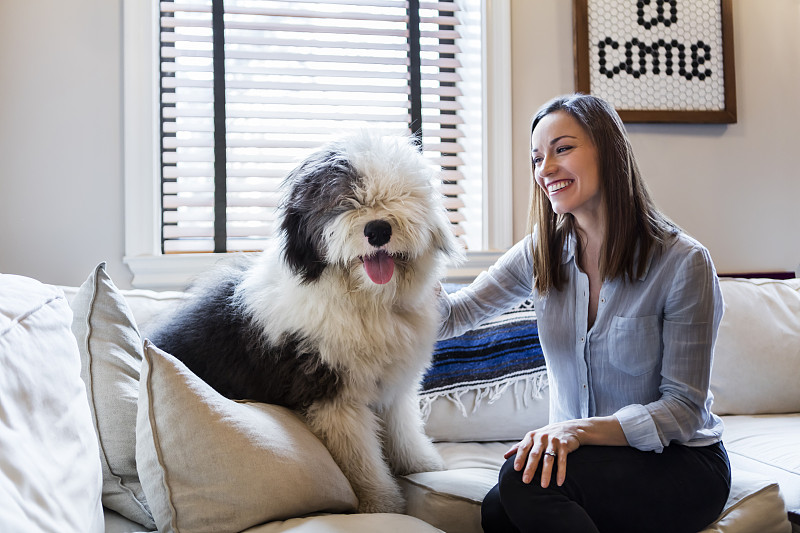 一个女人和她的宠物狗坐在沙发上图片素材
