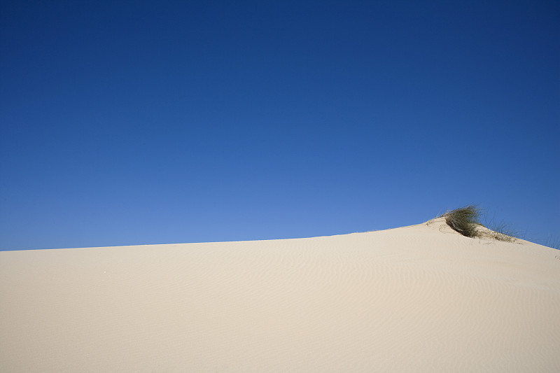 Desert landscape图片素材
