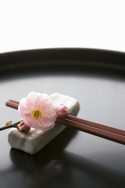 筷子和一盆梅花图片下载