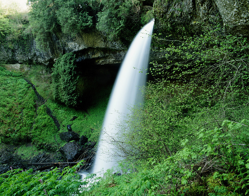 美国，俄勒冈州，银瀑布州立公园，瀑布(长时间曝光)图片下载