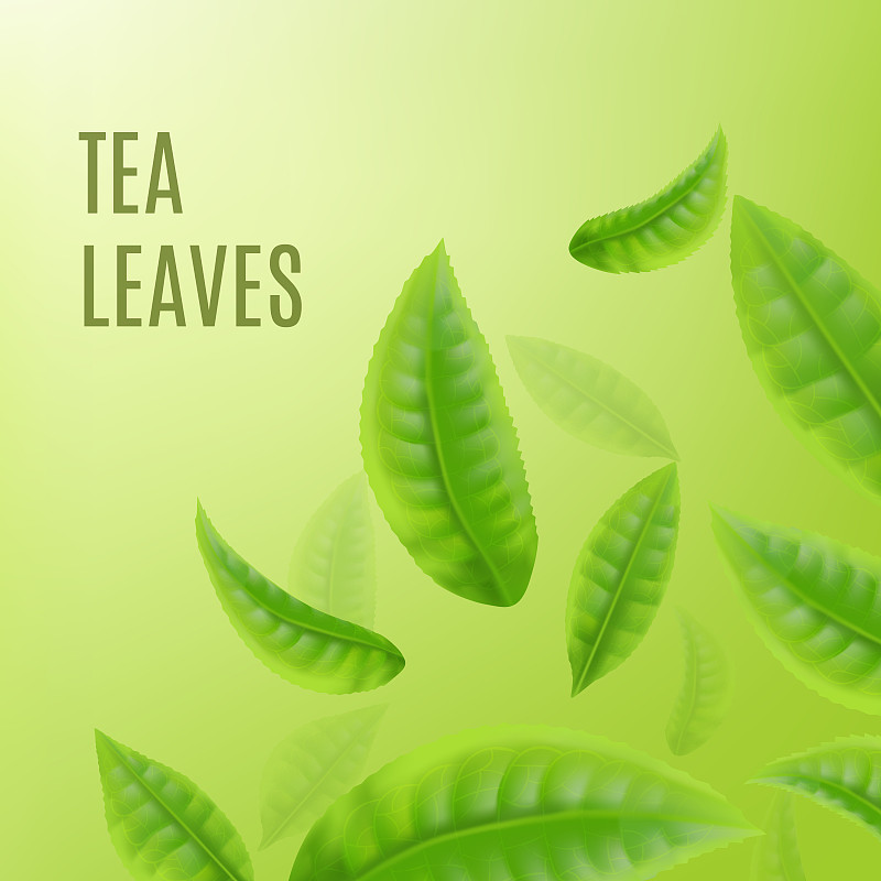 绿茶广告横幅与绿色的叶子，现实的矢量插图。图片下载