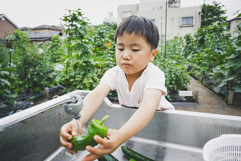 男孩在洗他刚在田里收获的蔬菜图片下载