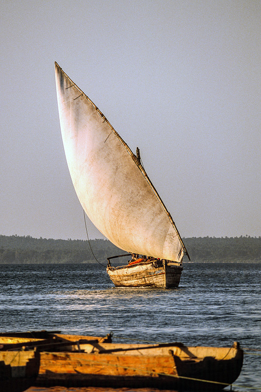 桑给巴尔，印度洋上的货运三角帆船图片素材