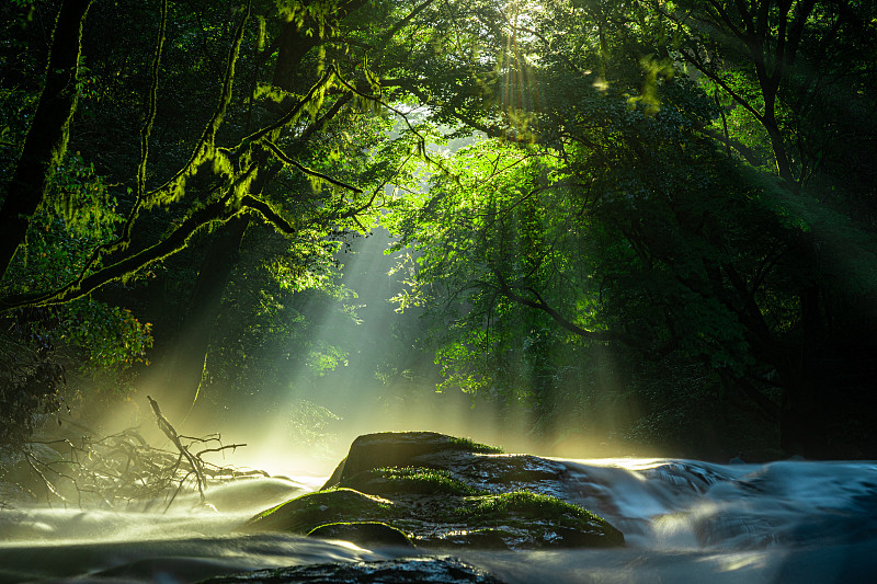 菊池山谷，瀑布和光躺在森林，菊池，熊本，日本图片下载
