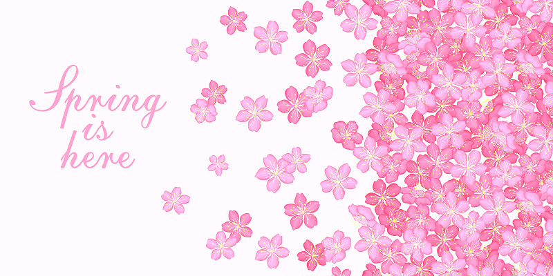 美丽的粉红色樱花。春天盛开的背景。无缝模式。织物，包装，墙纸的纹理。装饰印刷。矢量图下载