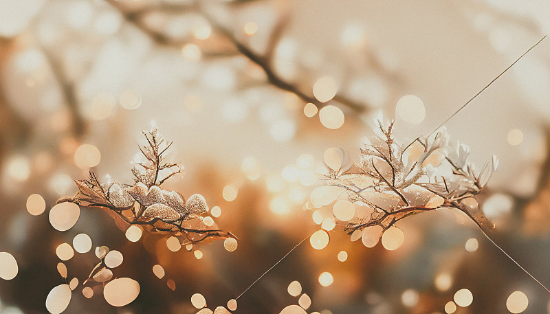 树枝上闪闪发光，形成一种图案。轻银模糊背景模板的圣诞节和新年。精美的冬季节日装饰横幅与银光闪闪的树枝。3D插图数字艺术墙纸。图片下载