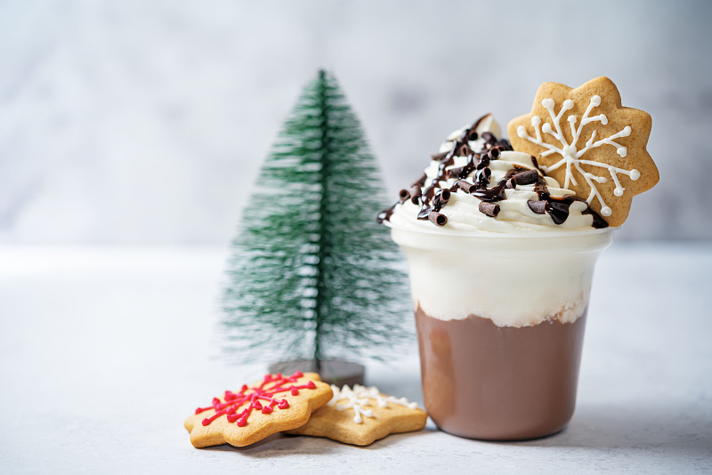 圣诞节的巧克力鸡尾酒或甜点，鲜奶油和圣诞饼干图片下载