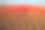 华盛顿州西部的斯卡吉特山谷，五颜六色的郁金香盛开。摄影图片