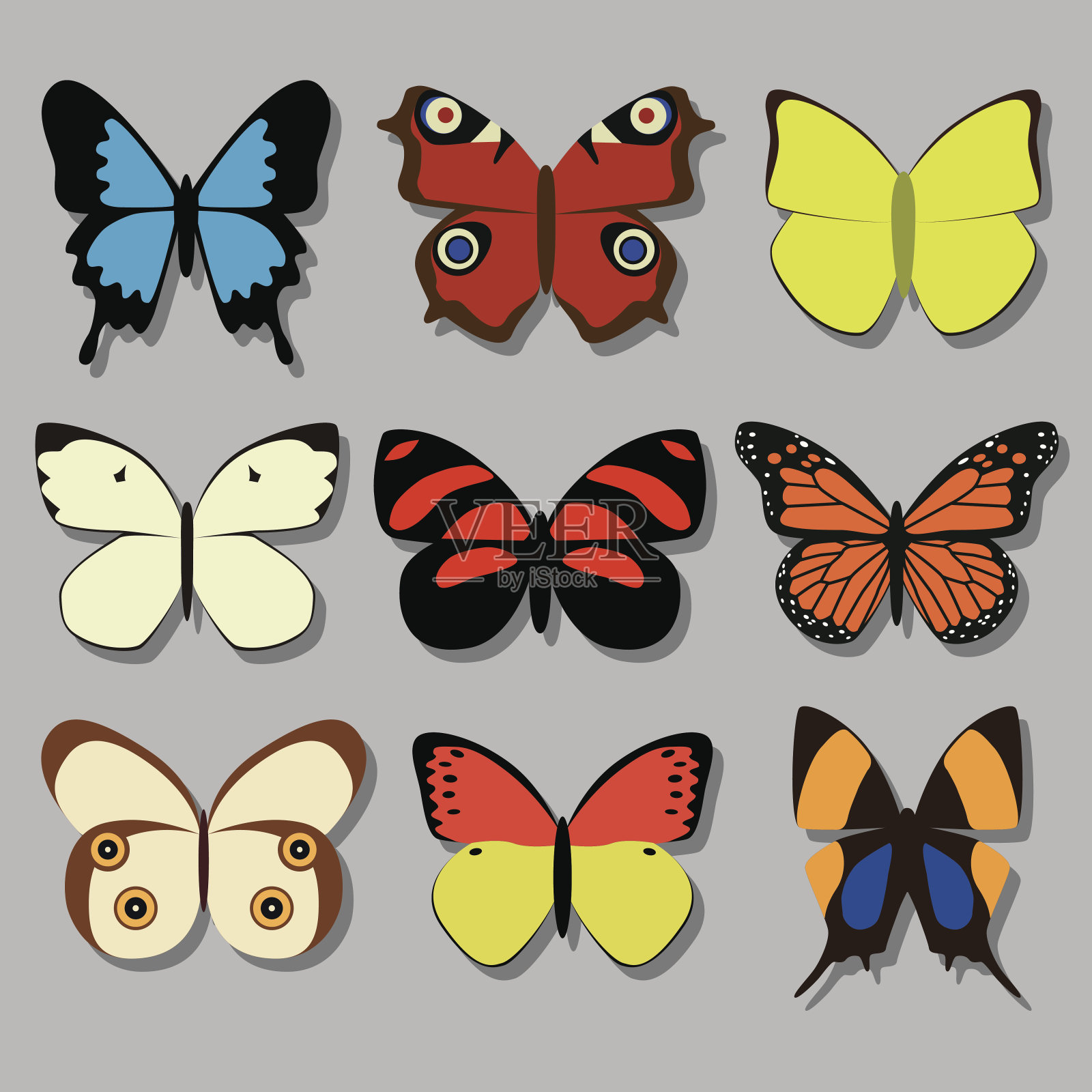 蝴蝶收集插画图片素材