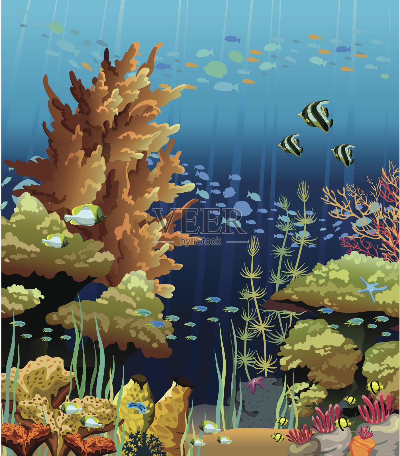 海景与珊瑚礁插画图片素材