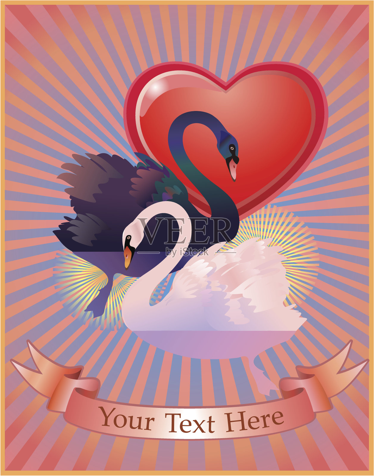 黑天鹅与白天鹅的爱情插画图片素材