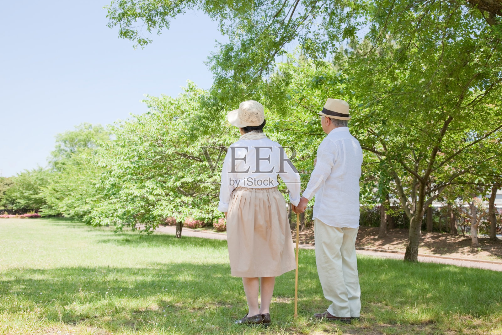 日本夫妇在公园散步的后视图照片摄影图片