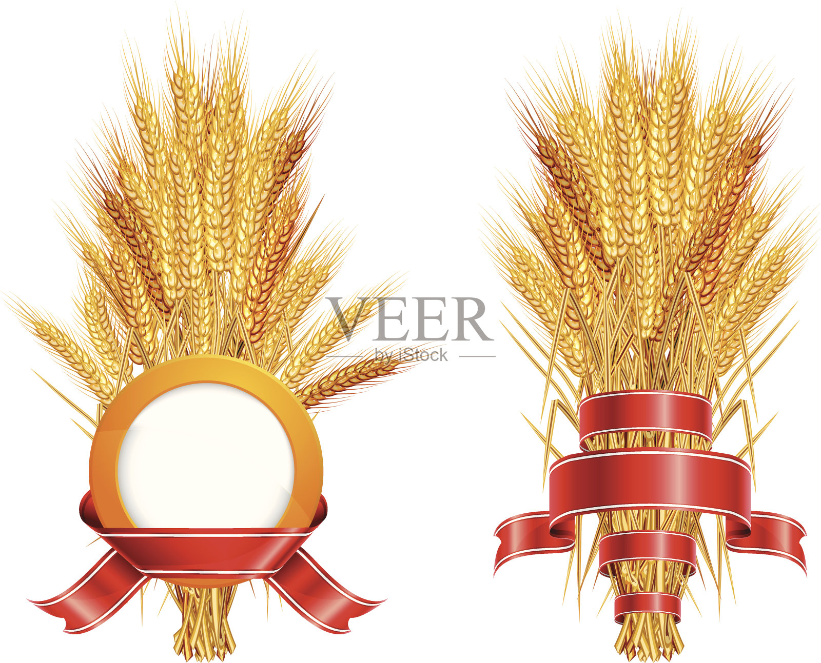 小麦穗和丝带插画图片素材