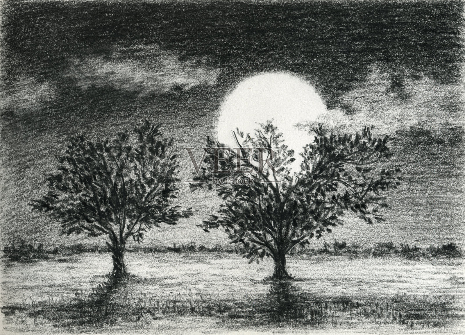 月光下的两棵树插画图片素材