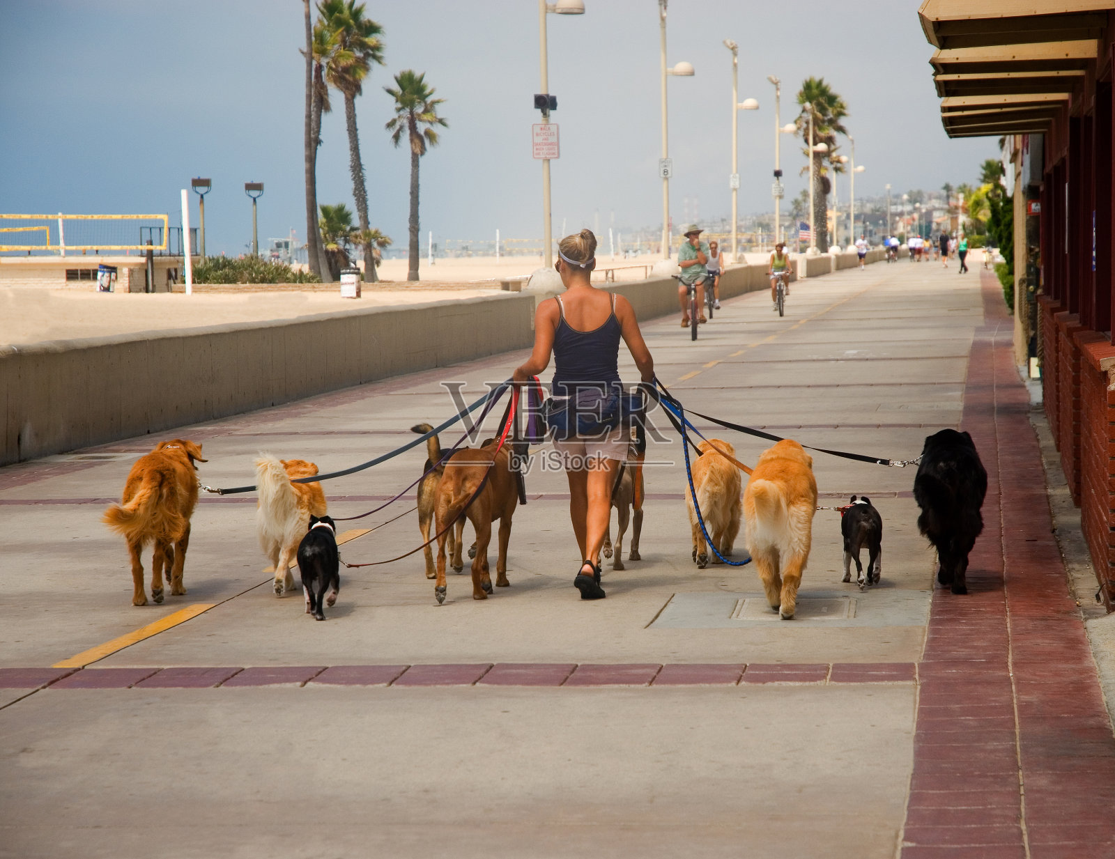 带着狗走在人行道上的女人照片摄影图片